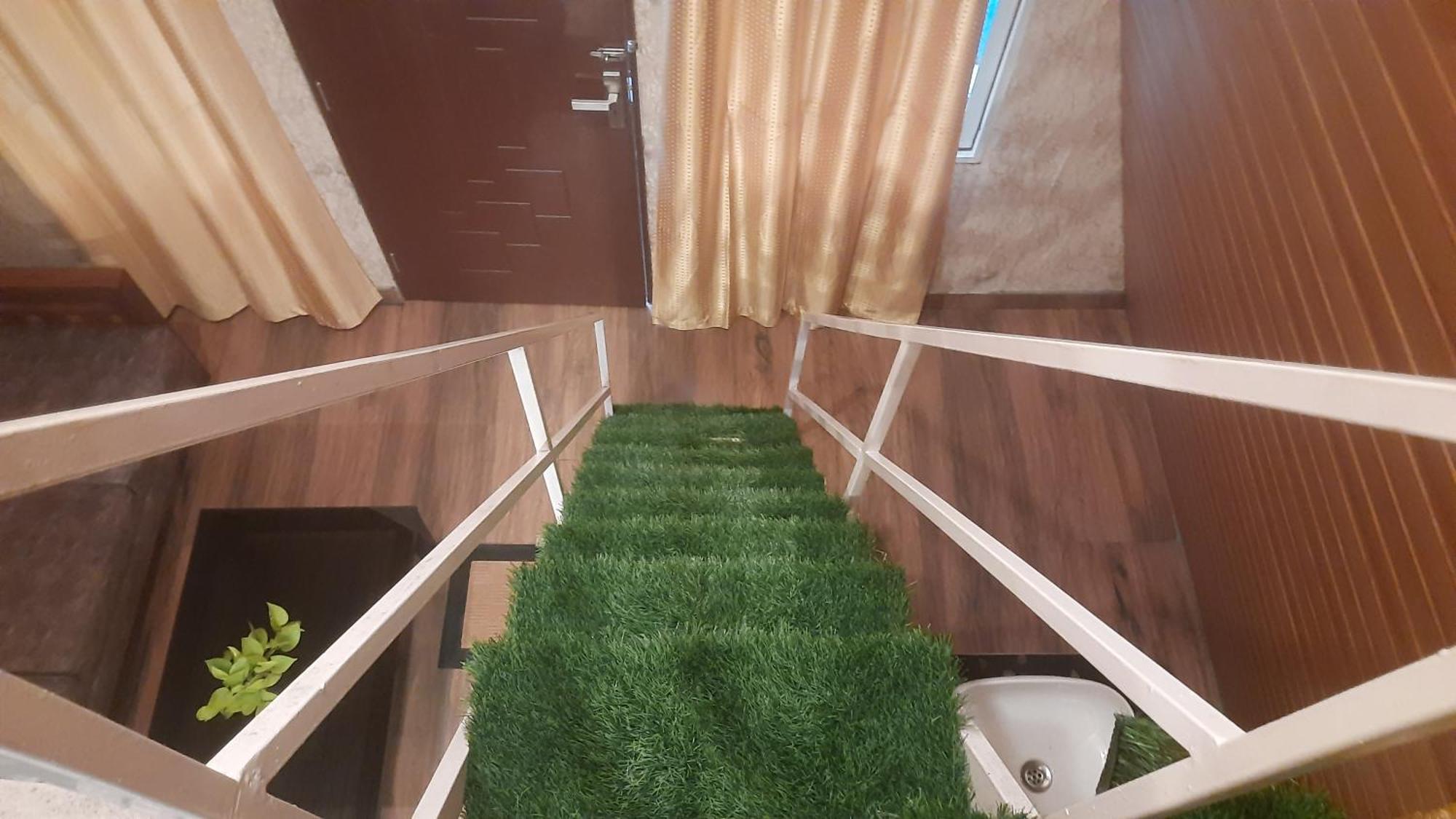 Paradise Meadows فاغامون المظهر الخارجي الصورة